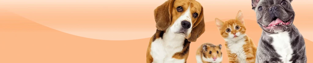 Two dogs, one cat and a hamster