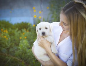 Close up of woman in white blouse with labrador puppy in a summer garden