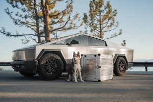 Dog standing next to a Tesla Cybertruck and a dog crate