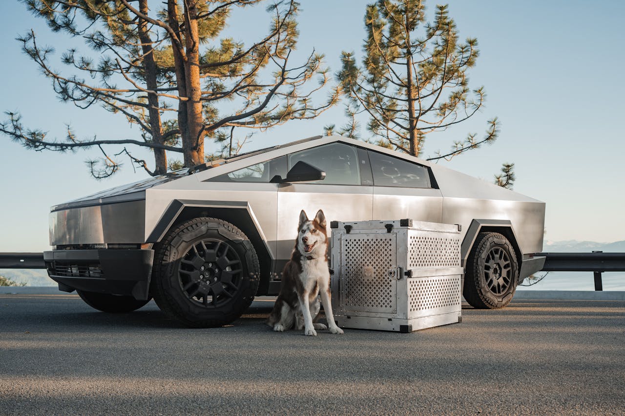 Dog standing next to a Tesla Cybertruck and a dog crate